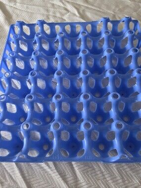Blue Plastic Egg Tray Rack Holder: Holds 30 Lattice Eggs, 1 Pcs